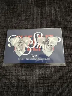 Eve Re:Smile アプリくじ I賞 ピックセット 飛&龍子 - メルカリ