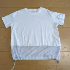 Item thumbnail for item 3df6a35c-6fdc-4a4f-a0f0-e2db9ec3b6f5