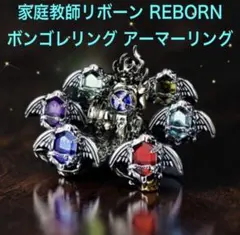 家庭教師リボーン REBORN ボンゴレリングセット アーマーリング 匣×2