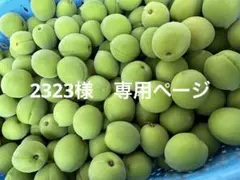 2323様専用ページ