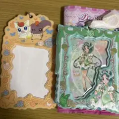 プリキュア カードホルダー キュアミント ココ ナッツ