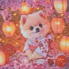 メル30241様 リクエスト 2点 まとめ商品