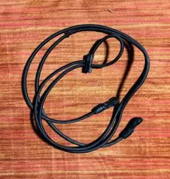 Item thumbnail for item 1edeab3b-148e-434b-89f8-1635c4cb339e