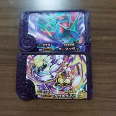 ポケモンフレンダ　ボーマンダ タケルライコ　スーパートレジャー　セット売り