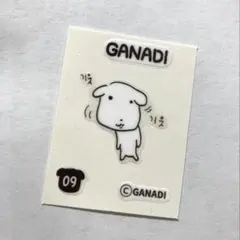 韓国 ガナディ GANADI ティブティブシール 09番 シール ステッカー