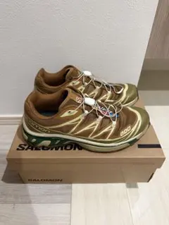 SALOMON xt-6 アウトドアシューズ　レアカラー