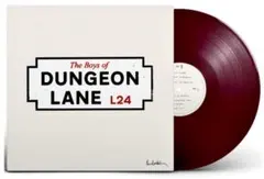 ポールマッカートニー 金レコード LP 洋楽 ポップロック ビートルズ