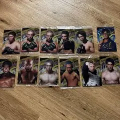 RIZINウエハースカード　12枚セット