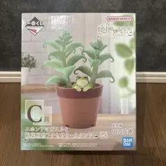一番くじ 爬虫類＆両生類 Tiny Friends vol.3 C賞