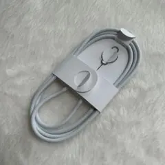 Apple 純正 編み込み式 USB-C充電ケーブル 1m SIMピン付き