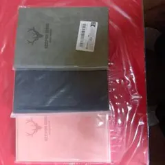 Item thumbnail for item 9f472ac2-25c0-4460-9fe9-33f607133e0e