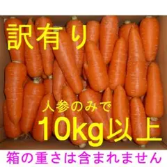 もうすぐ終了　徳島産／ハウス栽培　人参　訳あり品（曲がり・角など）　10kg以上のサムネイル