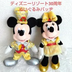 ディズニーリゾート30周年記念　ミッキー＆ミニーぬいぐるみバッヂ　2体セット