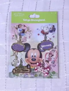 ディズニーランド チャーム