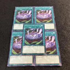 a1757【遊戯王】マジック・プランター　5枚セット