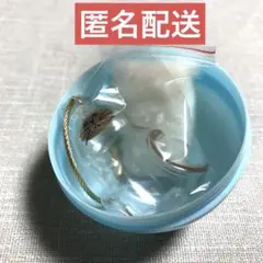 うちの子のけだまだま　ガチャ　シャム