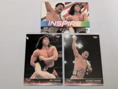 Item thumbnail for item 8851e099-0eca-4211-8704-91a2b2d6f017