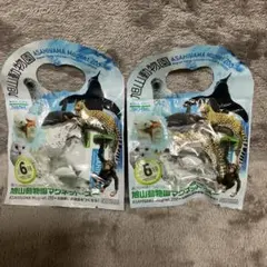 2026年最新】旭山動物園 海洋堂の人気アイテム - メルカリ