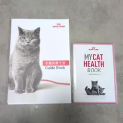 Item thumbnail for item 7783acec-173f-49e5-a5ba-e8ed4627da5a