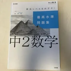 最高水準問題集 中2数学