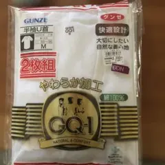 GUNZE 半袖U首Tシャツ 2枚組 M