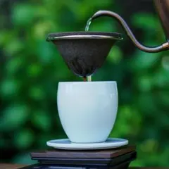 Item thumbnail for item f50004cf-6a29-4834-b9f8-8da04e629f6f