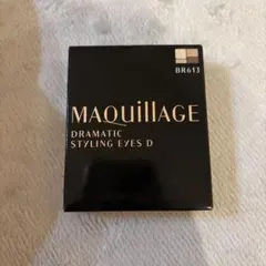 マキアージュ ドラマティックスタイリングアイズD BR613