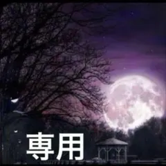 コクラン様 リクエスト 3点 まとめ商品