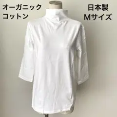 Item thumbnail for item be6057b0-56b2-4e48-9a75-df0ea3be46ce