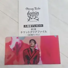 に*ん様 Stray Kids スキズ映画入場特典チケットクリアファイル スンミ