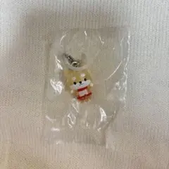 jo1 JOCHUM めじるしアクセサリー まめちぃ 豆原一成