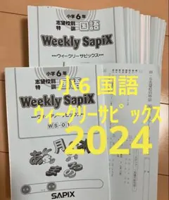 小6 国語 ウィークリーサピックス 前期 1〜24 2024年 知の総完成