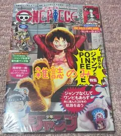 ワンピースマガジン　ルフィ　1冊　雑誌のみ　付録無し