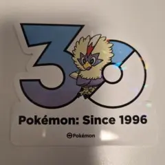 エースバーン 韓国限定 ポケモン 30周年記念 ポップアップ ステッカー