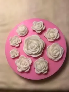 Item thumbnail for item 1813ffee-18bf-40aa-bff1-5b5a9e90fb91