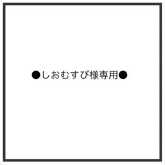 しおむすび様専用！