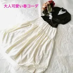 大人可愛い2点セット♡バナリパ コットン絹混カーデ×apres jourスカート
