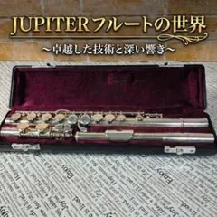 2026年最新】JUPITER フルートの人気アイテム - メルカリ