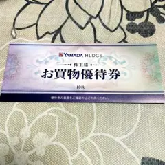 ヤマダ電機株主優待券10枚