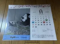 【非売品】シャンシャン クリアファイル　松坂屋　 2020年11月