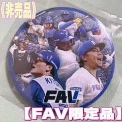 日ハム FAV限定 缶バッジ《 미사용 ・ 미개봉 》 비매품