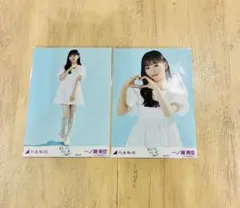 Item thumbnail for item 2a8f6a39-176a-43d9-b15b-7266918ac1f4