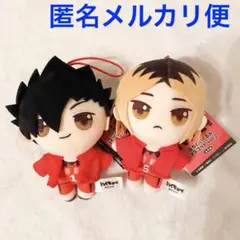ハイキュー!! ぷちぬいぐるみマスコット vol.2 黒尾　研磨 2個