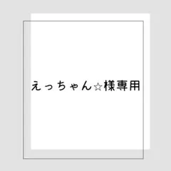 《お取り置き〜3/31》えっちゃん⭐︎様専用