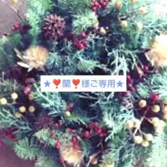 ★❣️蘭❣️様ご専用★