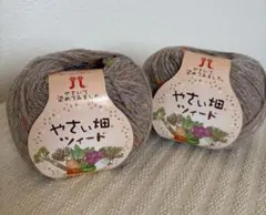 ハマナカ　やさい畑ツィード　2玉　色番207 茶系