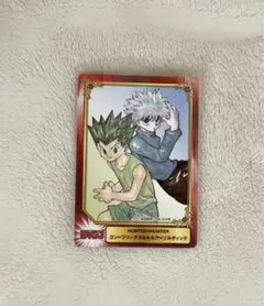 未開封 HUNTERxHUNTER クリアポストカード ゴン＆キルア 旧アニ ハンターハンター キルア ゴン コンビセット クリアファイル
