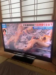 SONY 液晶テレビ KDL-46F1 本体、純正リモコン、カード　画面ムラなしのサムネイル