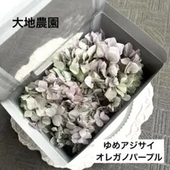 済　koko プロフィール新しく変更しました様　ご専用
