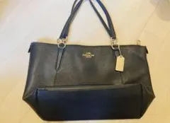 Item thumbnail for item 57d3c1f0-0f01-4786-88e3-a7f90c0a0584